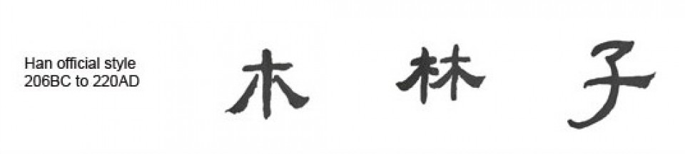 You Can Learn Chinese Characters